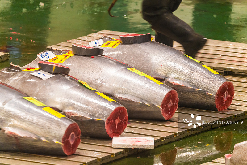 东京丰洲市场金枪鱼拍卖图片素材