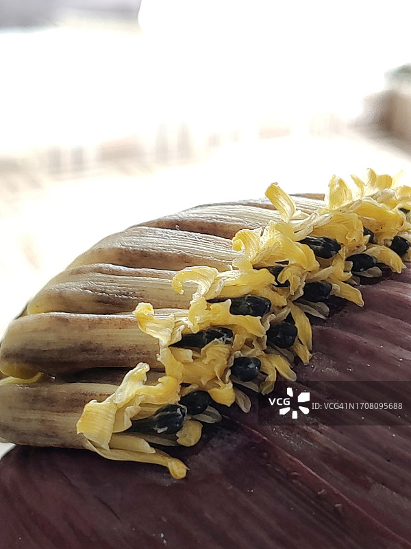 香蕉花特写/静物图像图片素材