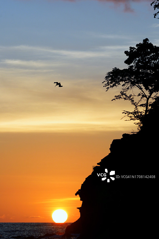 法国瓜德罗普群岛库斯托保护区图片素材