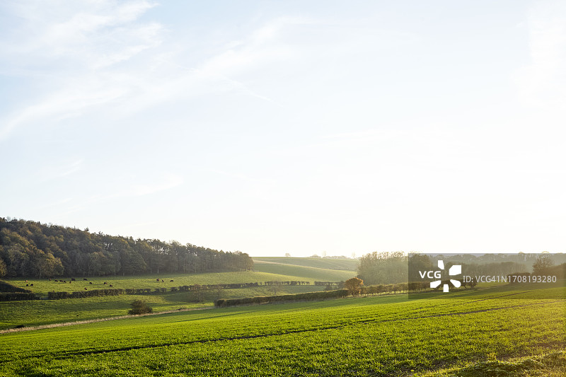 诺福克1图片素材