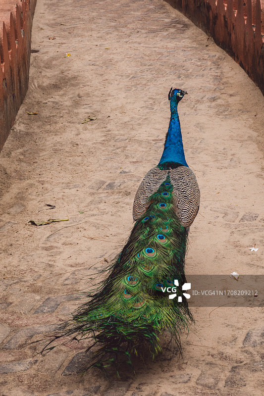桑给巴尔-监狱岛图片素材