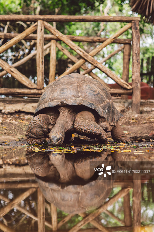 桑给巴尔-监狱岛图片素材