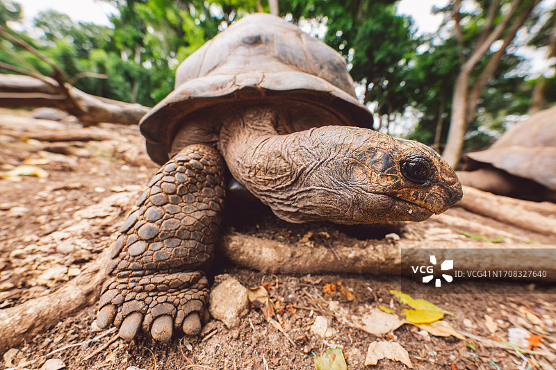 桑给巴尔-监狱岛图片素材