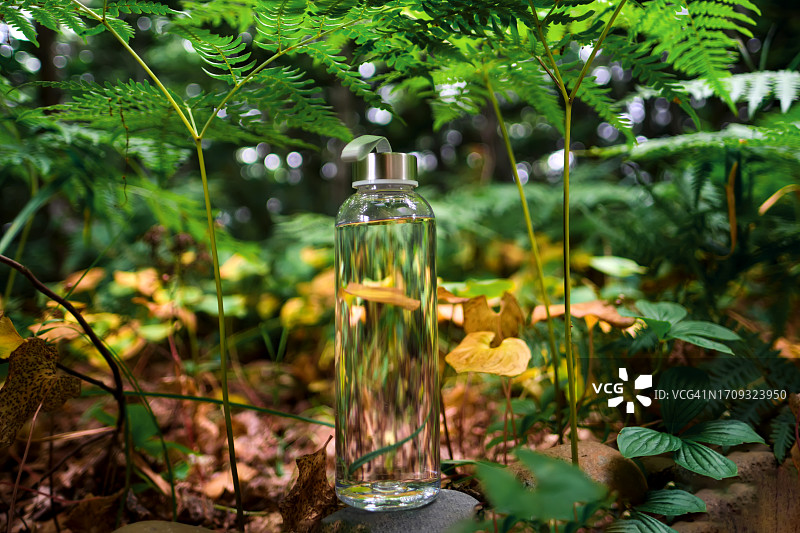 森林中的透明水瓶图片素材