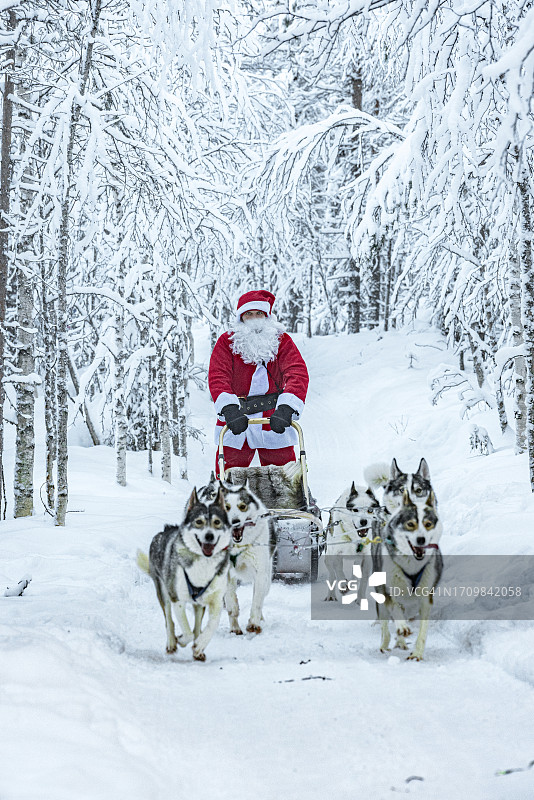 圣诞老人与哈士奇犬拉着雪橇图片素材