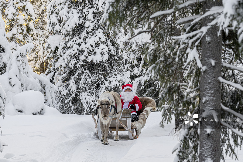 圣诞老人在白雪皑皑的森林里享受驯鹿雪橇图片素材
