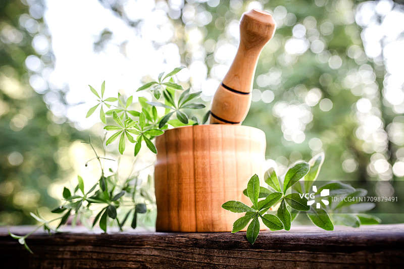 用于泌尿系统保健的药用香草图片素材