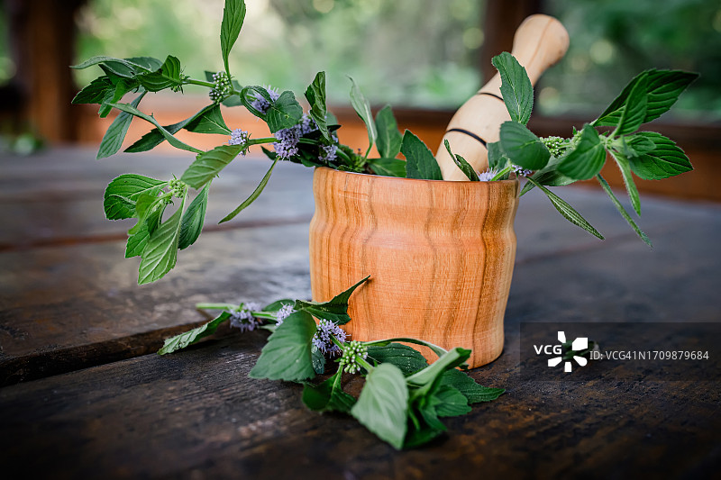 研钵中的玉米薄荷叶，以其烹饪用途和草药功效而闻名图片素材