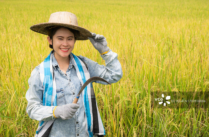 收割稻米前手持镰刀的年轻亚洲农民肖像。农业是泰国的主要经济驱动力。图片素材