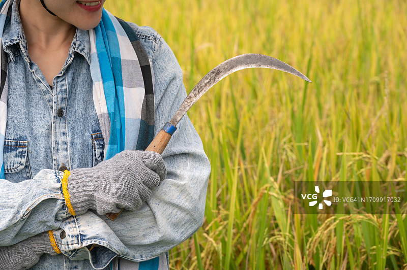 亚洲农民在收割稻谷前手持镰刀图片素材