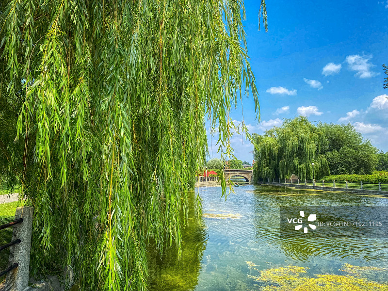 夏季的里多运河图片素材