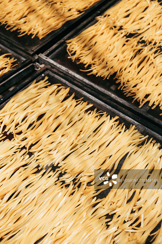 会安古镇晾晒的熟黄米粉图片素材