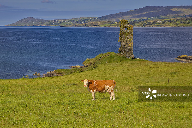 爱尔兰科克郡邓比肯城堡图片素材