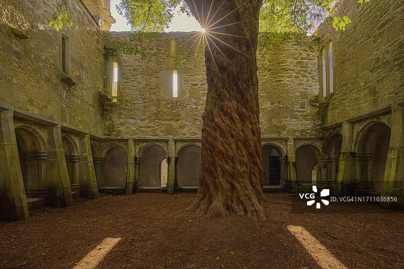 马克罗斯修道院，基拉尼国家公园，凯里郡，爱尔兰图片素材