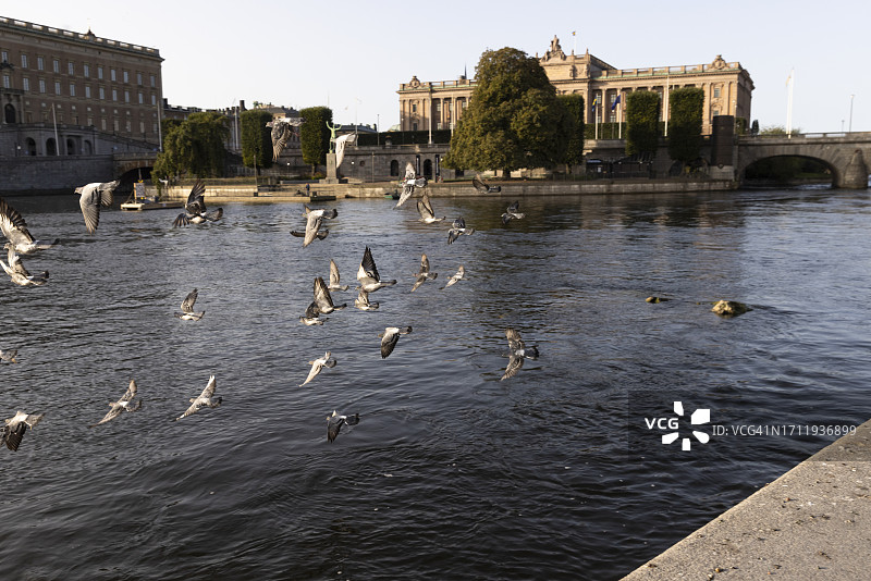 斯德哥尔摩的清晨景象图片素材