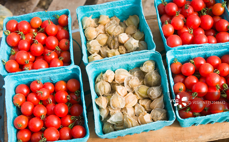 樱桃番茄和醋栗图片素材