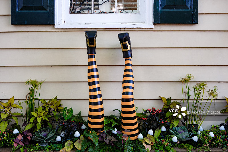 女巫的腿从花园里伸出来图片素材