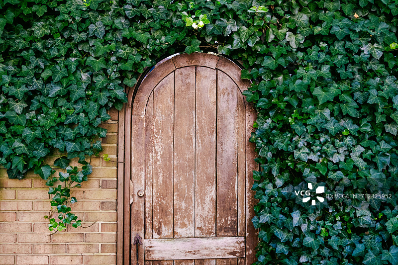 常春藤环绕的花园门图片素材