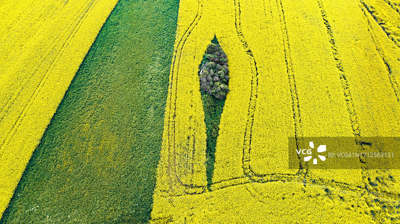 春季农田航拍图片素材