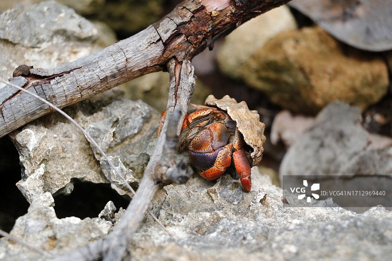 法国瓜德罗普地狱之门及其周边地区风光图片素材