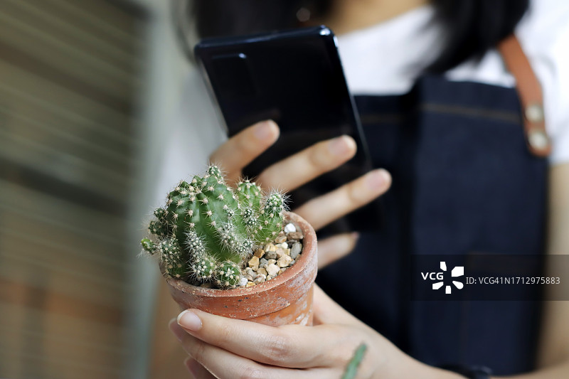 女人在小企业里用智能手机拍摄仙人掌照片图片素材