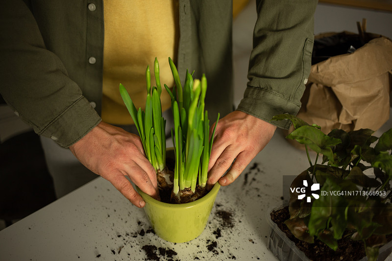 复活节准备图片素材