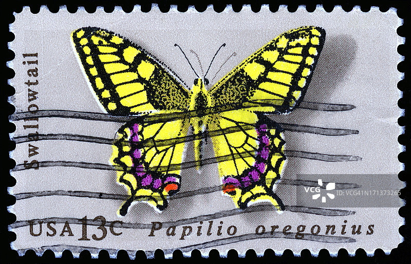 美国邮票图片素材