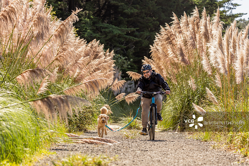 男人骑自行车，带着金毛犬图片素材