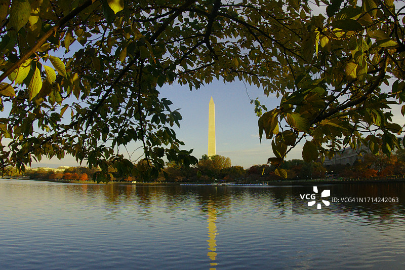 秋日樱花图片素材