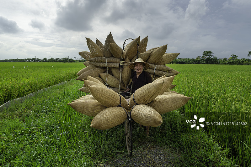 在越南北部稻田里骑自行车，带着捕鱼工具的年长越南人图片素材