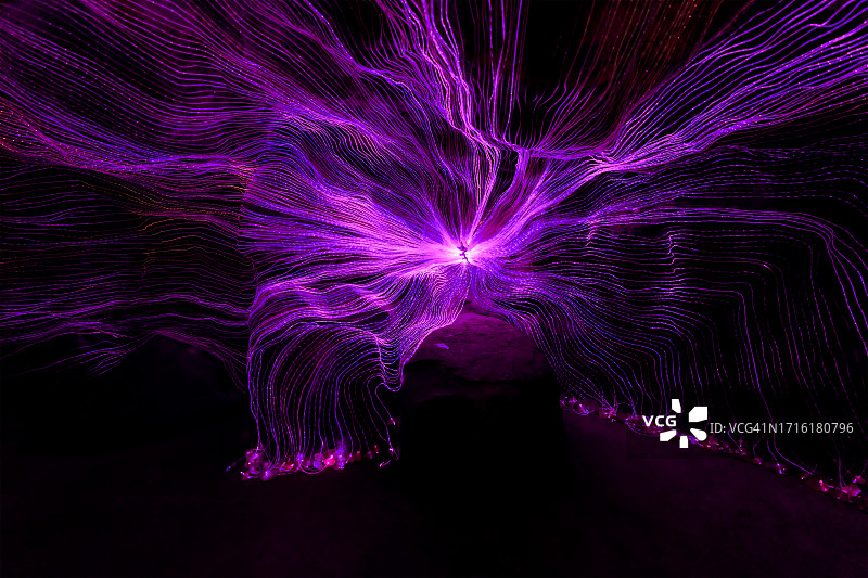 公园灯光节庆祝圣诞节和新年图片素材