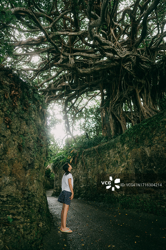 仰望榕树的年轻女孩，日本鹿儿岛县德之岛图片素材