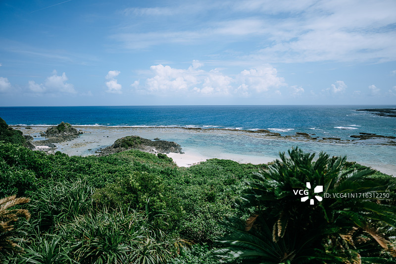日本鹿儿岛县德之岛郁郁葱葱的海岸线图片素材