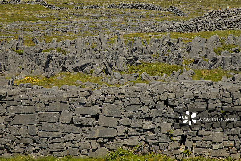 带刺的木马，Dún Aonghasa，Inishmore，爱尔兰戈尔韦郡阿伦群岛图片素材