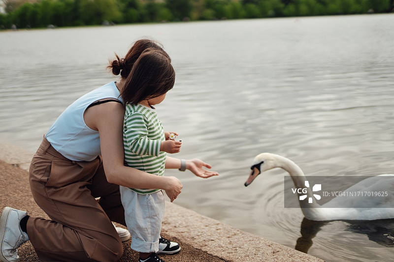 年轻的亚洲母亲和她的小女儿喂天鹅图片素材