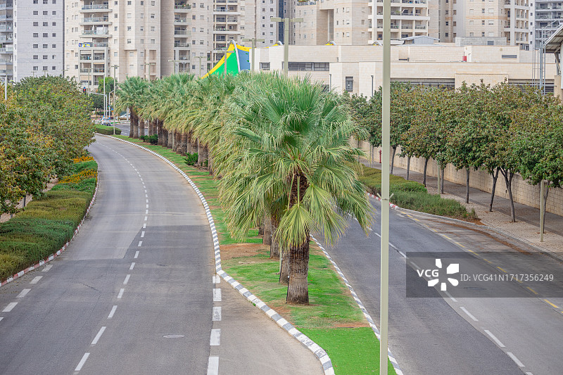 空旷的沥青路，由一排棕榈树分隔，现代街区的园艺图片素材