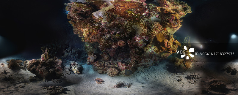 阿布达巴布夜潜珊瑚礁图片素材