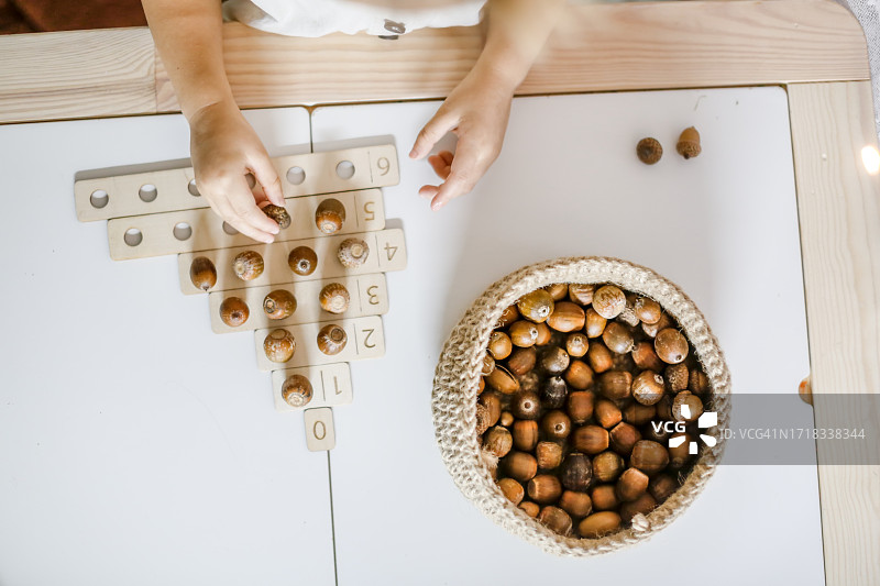 用天然材料学习数数：孩子用木板学习数橡子，顶视图图片素材