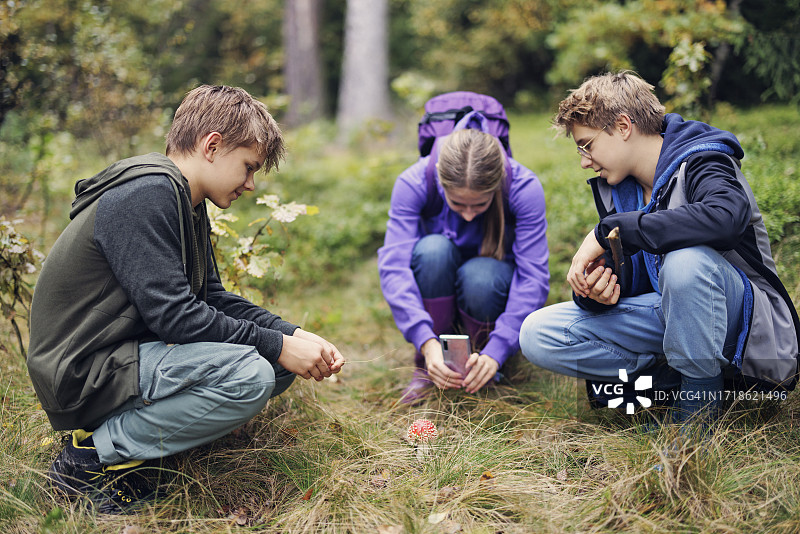 青少年在森林里拍摄鹅膏菌图片素材