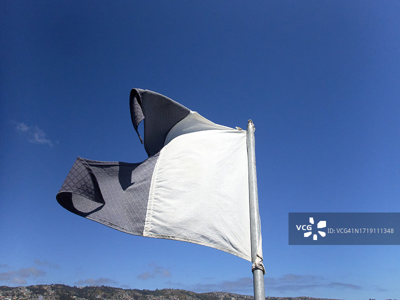 潜水阿尔法旗帜图片素材