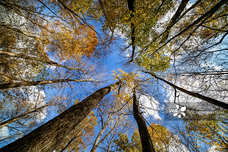 秋日天空图片素材