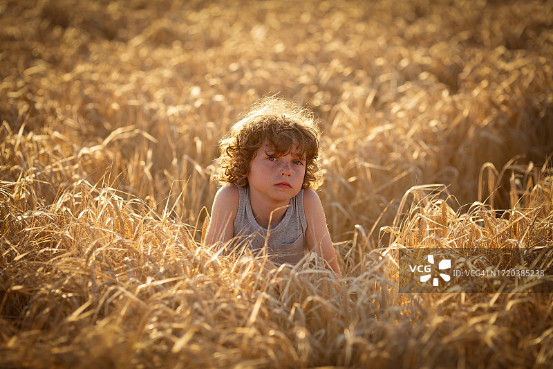 在麦田里沉思的8岁卷发男孩图片素材