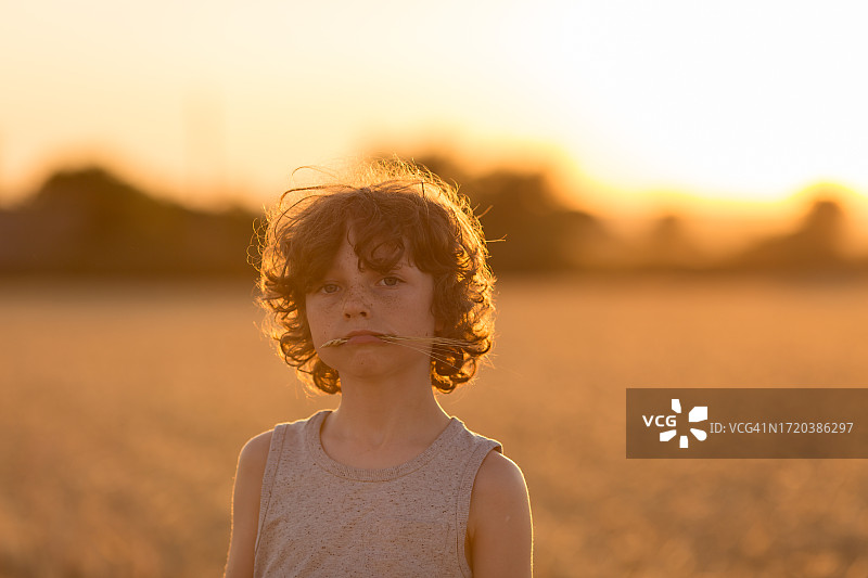 麦田里口衔麦穗的8岁卷发男孩图片素材