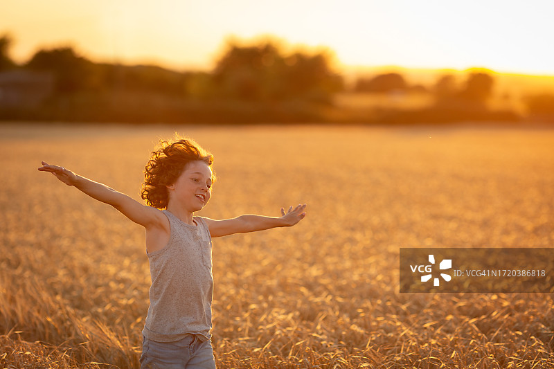 卷发8岁男孩在麦田里做飞机手臂动作， 嬉戏玩闹，金色时段图片素材
