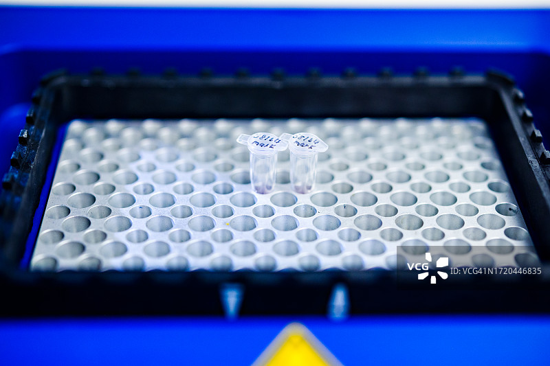 摇床中加载的样品特写图片素材