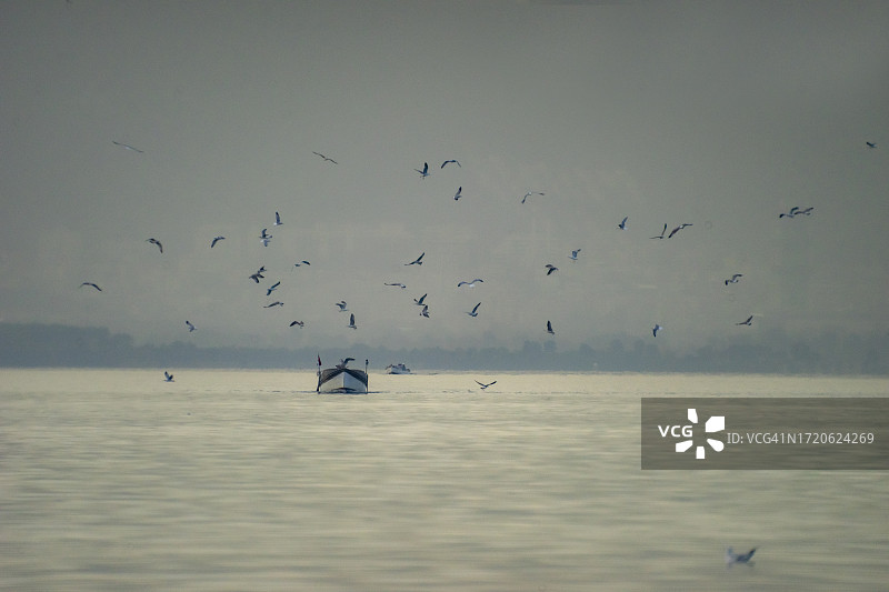 海鸥伴随的渔船图片素材