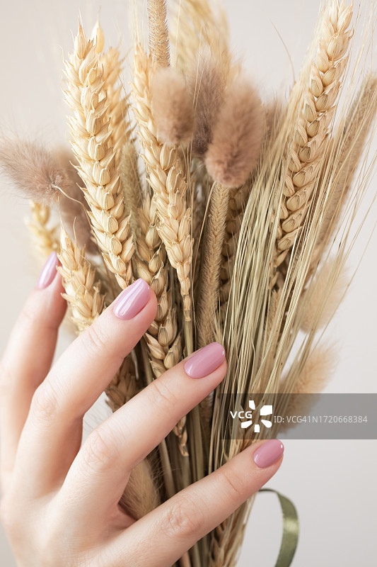 手持干花和美丽的修指甲 - 粉色凝胶美甲图片素材