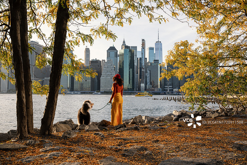 在布鲁克林大桥公园遛绵羊杜德尔犬的女人图片素材