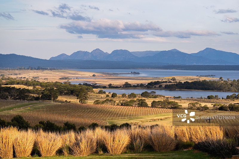 塔斯马尼亚的葡萄园和科尔斯湾图片素材