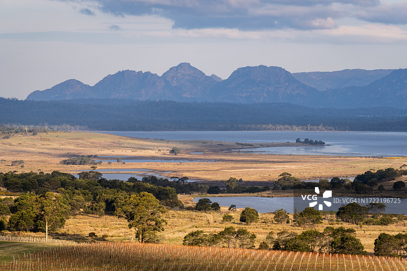 塔斯马尼亚的葡萄园和科尔斯湾图片素材
